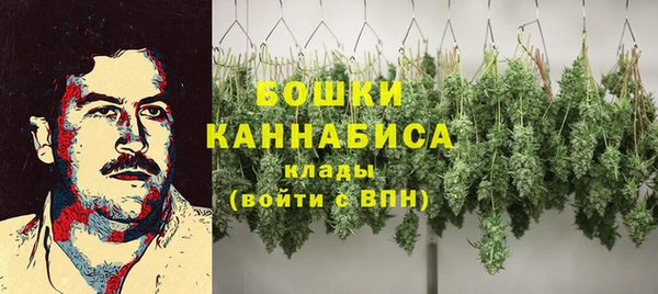 ALPHA PVP Гусев