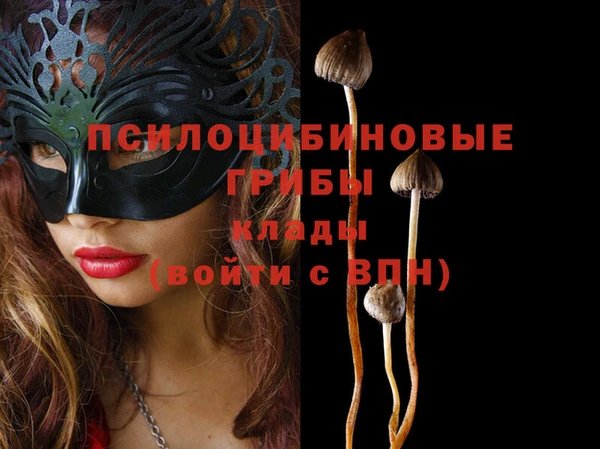 марки lsd Гусиноозёрск