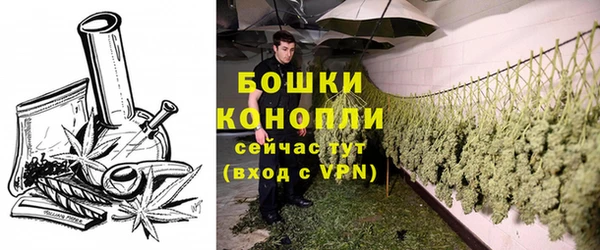 марки lsd Гусиноозёрск