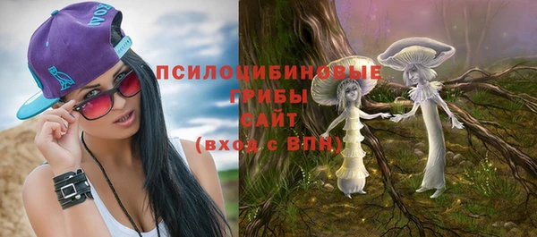 ALPHA PVP Гусев