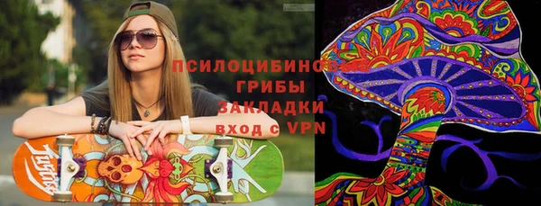 марки lsd Гусиноозёрск