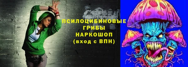 марки lsd Гусиноозёрск