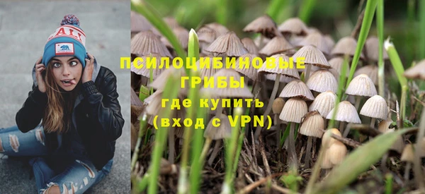 ALPHA PVP Гусев