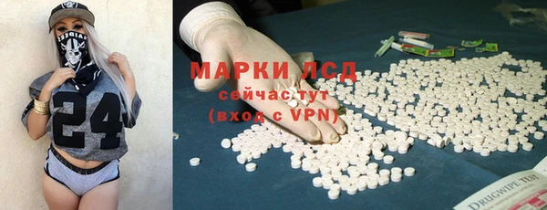 спайс Снежногорск
