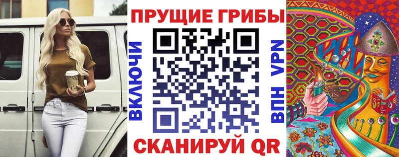 купить   Спас-Деменск  Галлюциногенные грибы Cubensis 